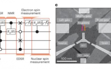 Nature Nanotechnology：四量子位寄存器中電子和核自旋的高保真初始化和控制