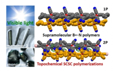 JACS：具有動態效應的超分子有機硼聚合物單晶-單晶光合作用