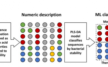PNAS：MEnTaT：一種用于識別突變以提高蛋白質穩定性的機器學習方法
