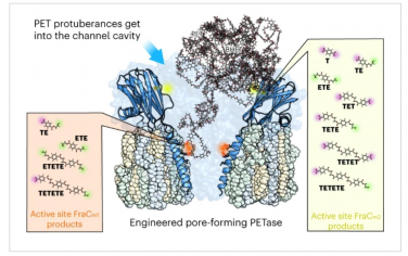 Nature Catalysis：亞微米和納米尺寸的聚對(duì)苯二甲酸乙二醇酯與工程蛋白納米孔的解構(gòu)