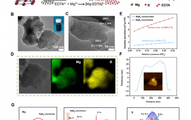 Science Advances：具有橋交聯(lián)主導分層結(jié)構(gòu)設計的魯棒且靈敏的導電納米復合水凝膠