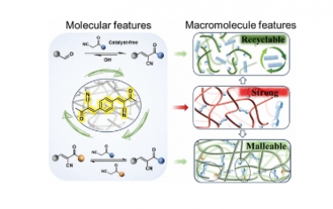 JACS：Knoevenagel 加合物實現可回收、可延展和強熱固性材料