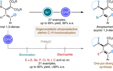 南方科技大學(xué)Nature Catalysis：有機(jī)催化烯烴C-H官能團(tuán)化
