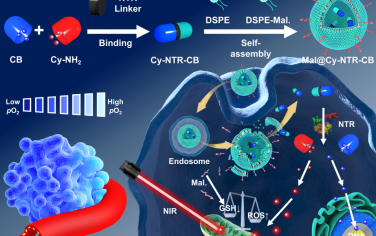 Biomaterials：同步激活治療性納米制劑以對乏氧誘導的化療進行增強和反饋