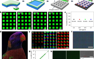 Nature Photonics：超高清雙層轉印高效印刷量子點發光二極管
