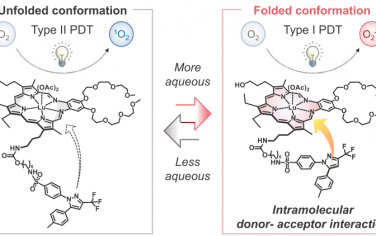 JACS：镥Texaphyrin-塞來昔布偶聯物可作為免疫-光動力治療藥物