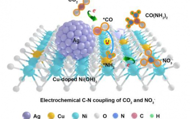 Angew：Ag-CuNi(OH)2強耦合界面促進CO2和NO3-還原合成尿素