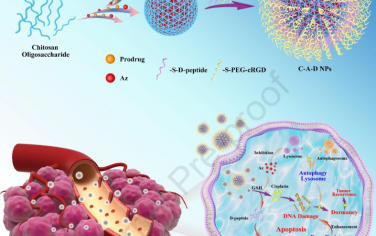Biomaterials：工程納米平臺可抑制腫瘤細胞的能量代謝和溶酶體活性以增強順鉑化療