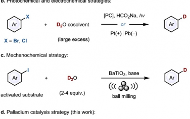 蘇州大學Nature Commun：Pd催化D2O對芳基鹵化物氘代