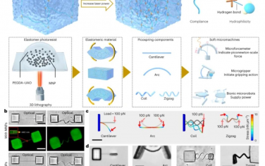 Nature Nanotechnology：3D納米制造的軟微型機器人具有作為板載傳感器和致動器的超柔順皮力彈簧