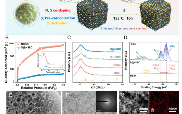 PNAS：三重協同小分子硫陰極有望實現高能Cu-S電化學