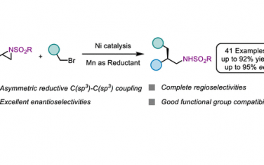 JACS：Ni催化N-磺酰基苯乙烯基氮雜環丙烷與烷基溴立體交叉偶聯