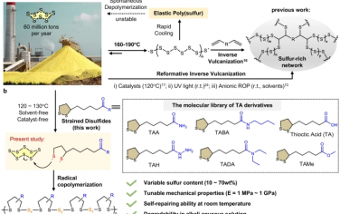 華東理工大學Nature Commun：無機硫合成聚合物