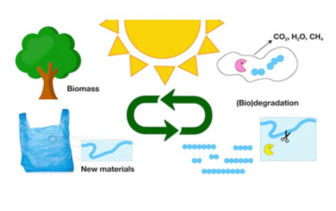 Chem. Soc. Rev.：設計可生物降解的聚合物替代品