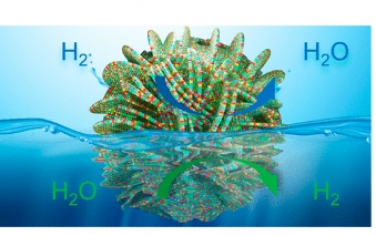 ACS Nano：用于長壽命氫氣電池的非貴金屬高熵合金基催化電極