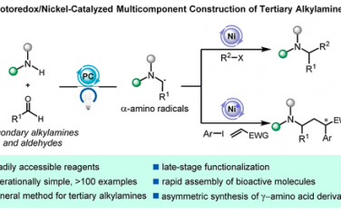 新加坡國立JACS：光+Ni協(xié)同催化氫胺基化合成有機(jī)叔胺