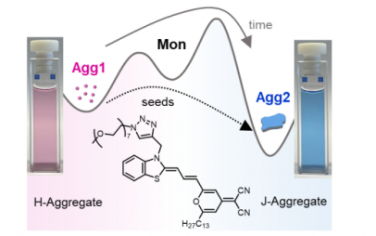 Angew：通過活性超分子聚合生長部花青染料 J-聚集體納米片
