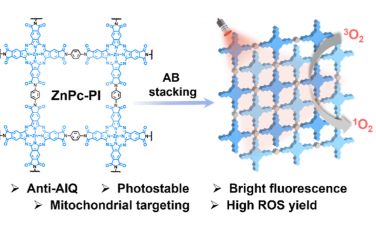 林文斌JACS：酞菁COF光動力學診療