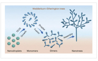 Nature Synthesis：用納米液滴順序融合策略合成二氧化硅納米樹