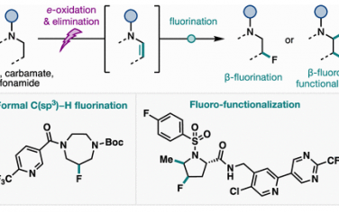 林松JACS：電催化含胺分子的α,β-不飽和化進行β-C(sp3)-H氟化