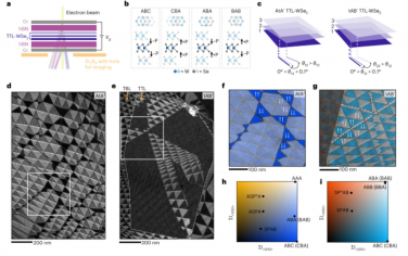 Nature Nanotechnology：范德華多層膜中的工程界面極化開關
