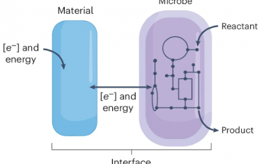 Nature Catalysis綜述：材料-微生物復合催化轉化CO2、N2