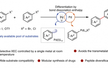 Nature Catalysis：光促進Pd催化C(sp2)-C(sp2)親電交叉偶聯