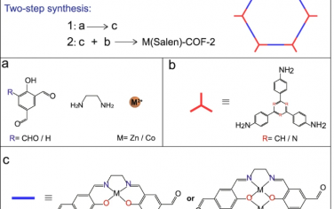 山東大學Nature Commun：金屬salen-COF光催化還原CO2制備合成氣