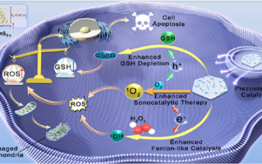 JACS：硫空位工程化二維Cu@SnS2?x納米片可通過異價替代構建實現高效的壓電催化腫瘤治療
