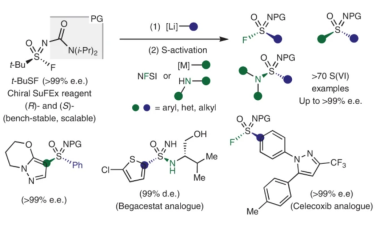 Nature Chemistry：對映體純雙官能S（VI）試劑實(shí)現(xiàn)磺酰亞胺、磺酰亞胺氟和磺酰亞胺酰胺的不對稱合成