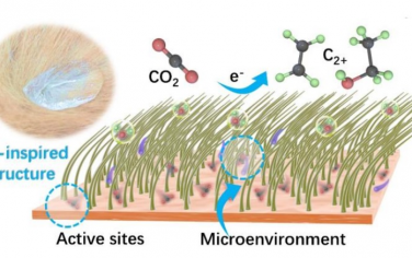 深圳大學Angew：生物啟發CuAu雙原子結構增強電催化還原CO2制備多碳產物