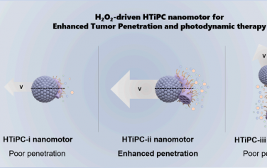 ACS Nano：黑色二氧化鈦Janus介孔納米馬達用于實現增強的腫瘤穿透和近紅外光觸發的光動力治療