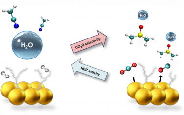 Nature Catalysis：在非水環境中調節水-氫鍵來調節其在電化學轉化中的反應性