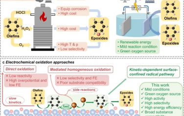 南京大學Nature Commun：表面限域自由基增強電催化烯烴環氧化
