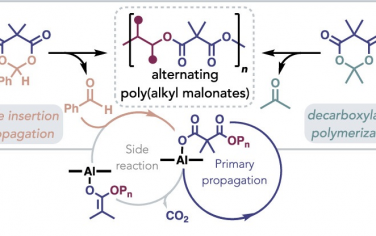 JACS：通過環(huán)氧化物和丙二酸環(huán)異丙酯的交替共聚合成烷基丙二酸酯聚合物