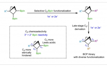 Nature Chemistry：橋取代雙環[1.1.1]戊烷雙硼酸酯的可編程后期功能化