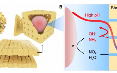 Science Advances：封裝的 Cu 催化劑自增強局部堿度實現在中性電解質中高性能電催化還原硝酸鹽/亞硝酸鹽為 NH3