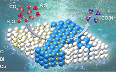 韓布興院士團(tuán)隊(duì)JACS：Cu-Bi雙金屬異質(zhì)界面CO2和硝酸鹽電催化偶聯(lián)合成尿素