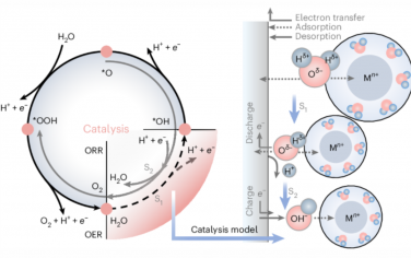 Nature Catalysis：快速充電水性鋅離子電池中Zn2+介導的催化作用