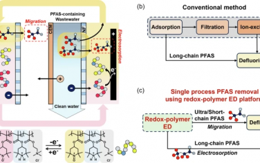 Nature Commun：氧化還原聚合物電化學吸附-降解消除多氟烴類PFAS