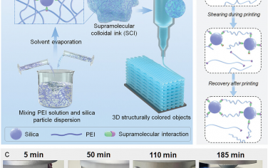 AFM：超分子 3D 打印可一步生成可修復、可回收的結構彩色物體