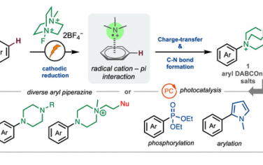JACS：電催化芳基C-H氨基化