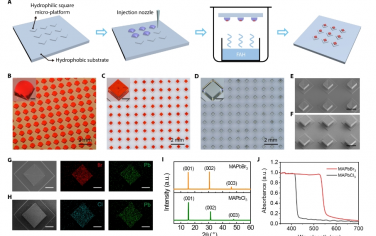 Science Advances：通過液滴輔助自對準實現鈣鈦礦單晶的精確排列