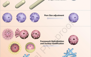Biomaterials綜述：生物活性介孔二氧化硅材料用于輔助癌癥免疫治療