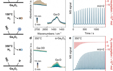 包信和院士Nature Commun：Ga2O3表面氫氣均裂增強加氫催化活性