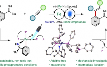 Nature Catalysis：Fe室溫光催化C-H鍵烯基化
