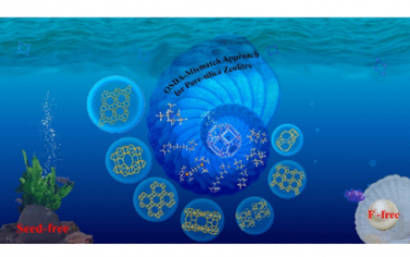 JACS：OSDA失配法合成無氟無籽純硅沸石吸附劑及其基質