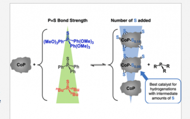 JACS：硫調(diào)加氫催化磷化鈷的可控表面改性