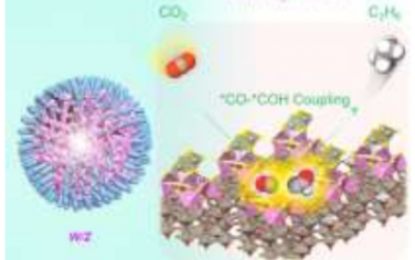 Angew：非金屬plasmonic光催化劑還原CO2制備C2H6