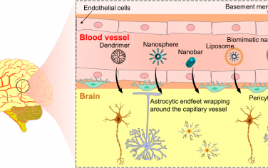 ACS Nano綜述：能夠穿越血腦屏障的功能化納米材料